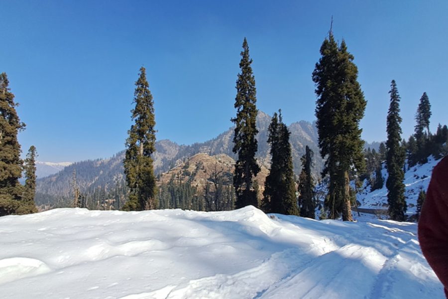 Kashmir Family Tour Packages